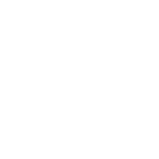 Visa Application